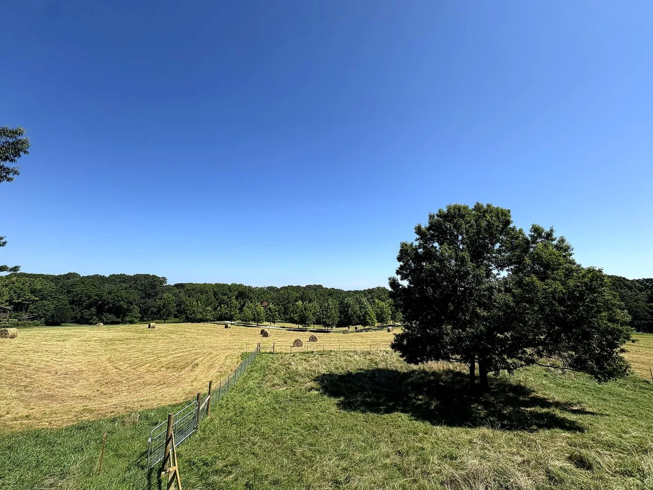 50+ acres at Cates Horse Boarding — Garfield, Arkansas