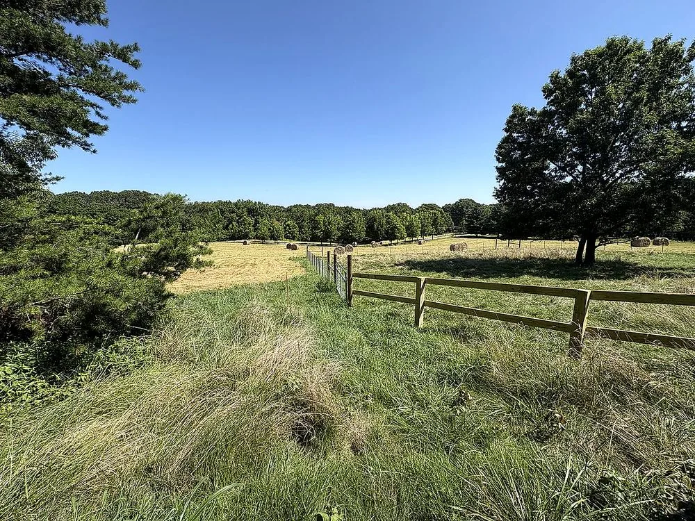 Rolling pasture at Cates Horse Boarding